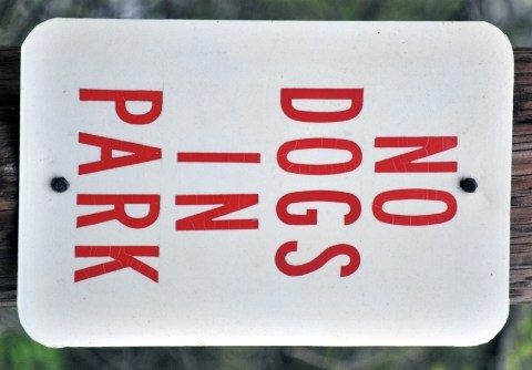 NO DOGS IN PARK