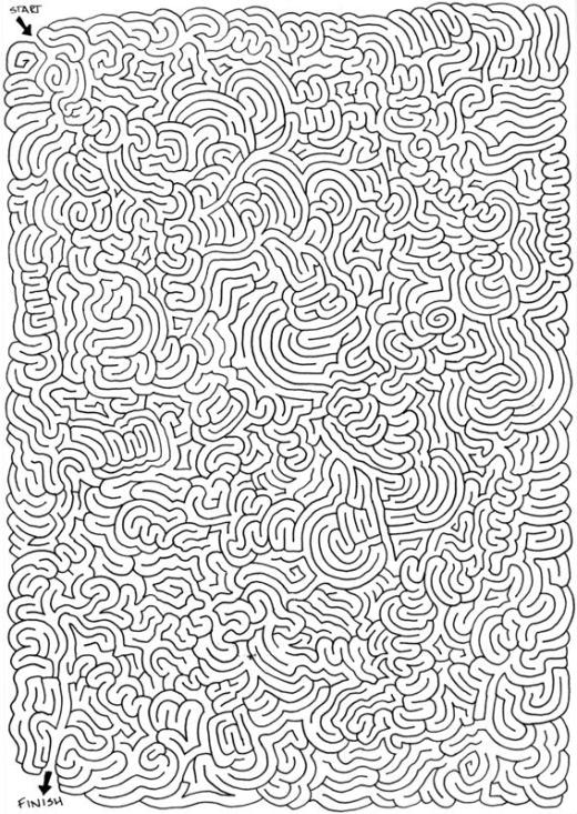 2011-01-25_MAZE