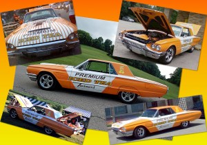 The Turner's Tea-Bird