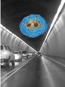 Flying Tunnel Monster (by Eric Yano) Flying Tunnel Monster (by Eric Yano)