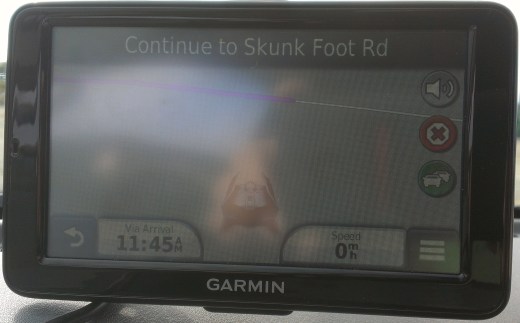 Skunk Foot Road