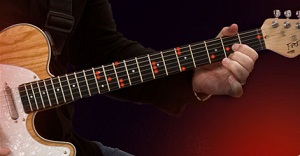 Fretlight Guitar