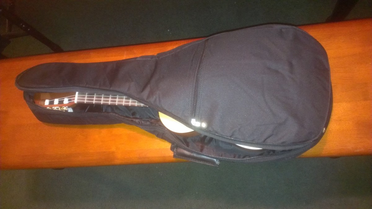 Free Gig Bag From Guitar Center! (2)