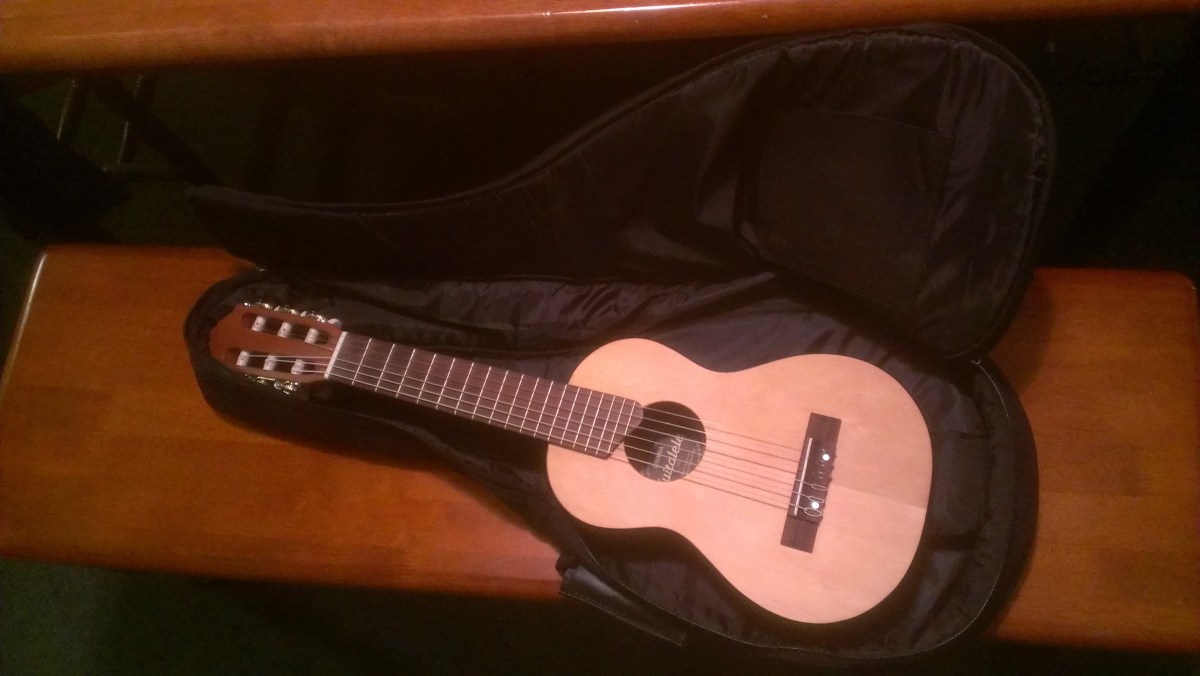 Free Gig Bag From Guitar Center! (1)