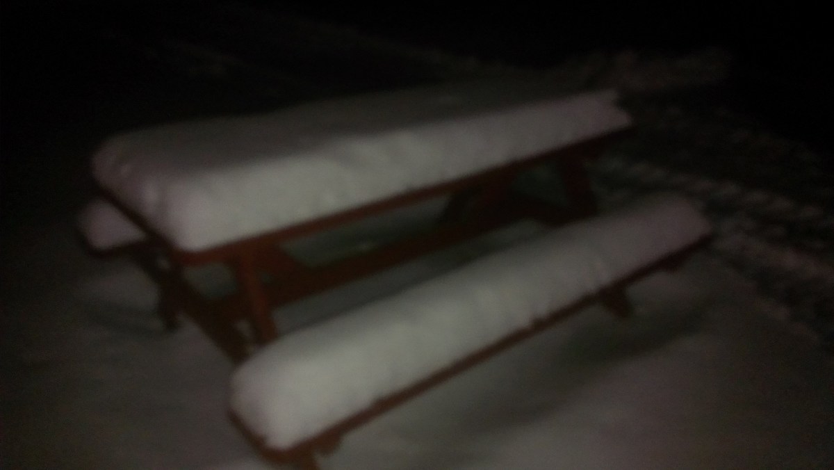 Forest Ridge Campgroundsa and Cabins | Allegheny Cabin - Picnic table