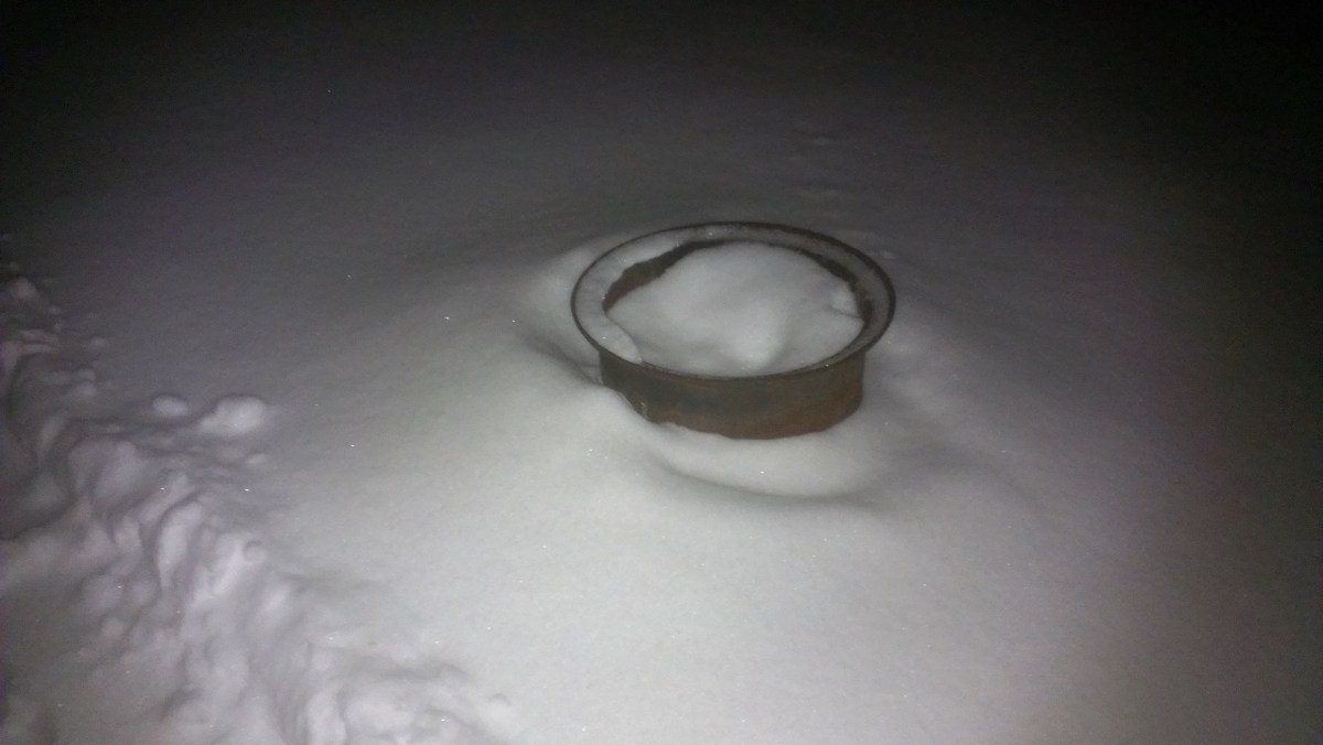 Forest Ridge Campgroundsa and Cabins | Allegheny Cabin - Fire-ring