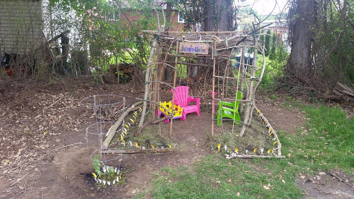 #BeanHouse Sign & Tomato 🌱