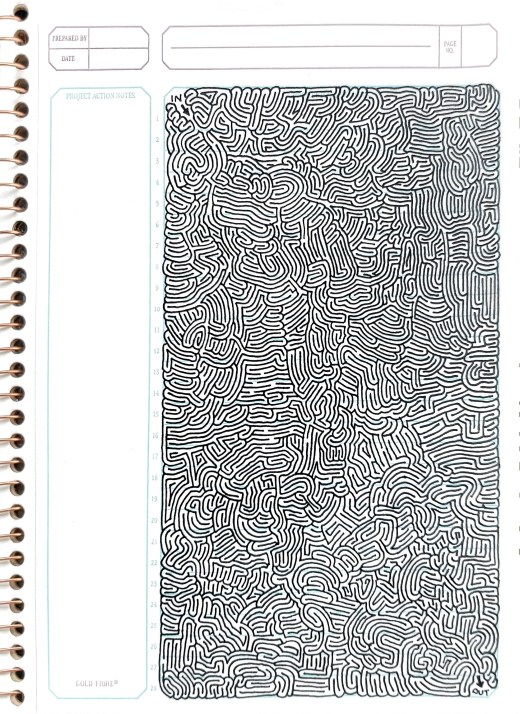 Another maze.  Is this one boring?  Send me a solution.