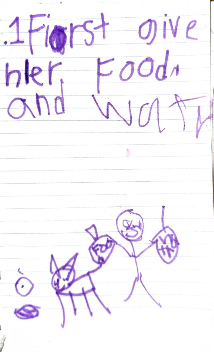 1. First give her food and water.