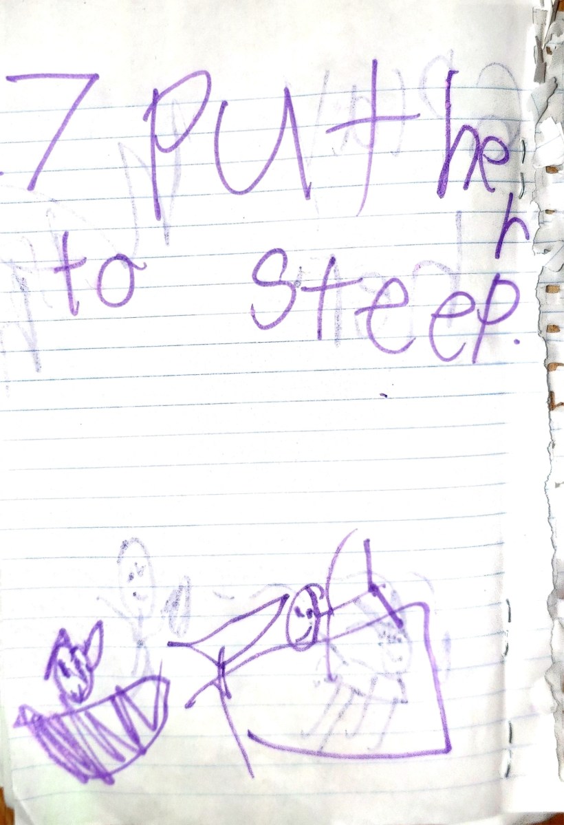 7. Put her to sleep. [Oh, how I don't even want to think about that phrasing and we don't even have a dog.]