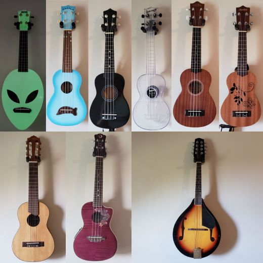 The Family Ukuleles & Mandolin