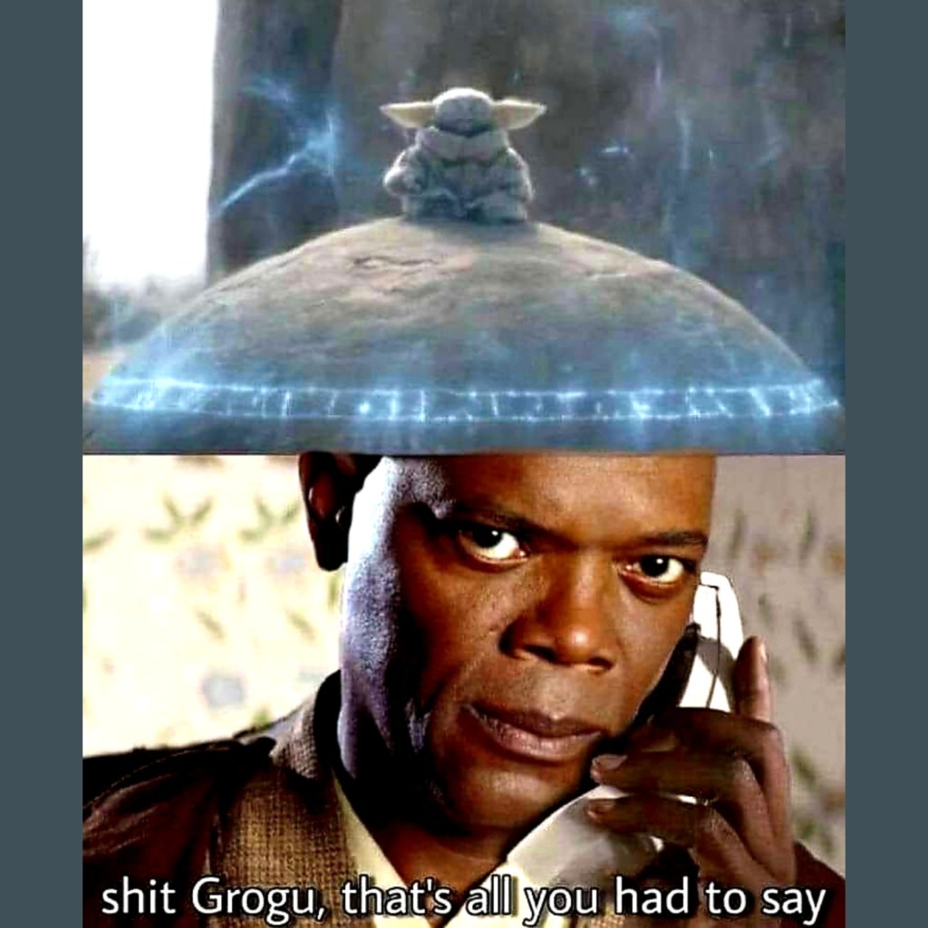 Mace Windu: "Shit Grogu, that's all you had to say."