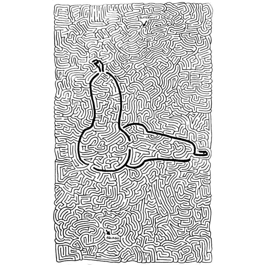 Butternut Squash Maze