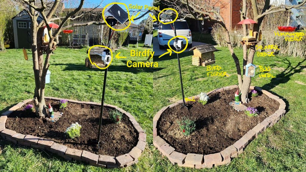 Multiple views of my backyard bird feeder & camera setup, some brick trim around a nice little flowering tree that's hosting a bird feeder, squirrel feeder, corn posts, a hummingbird feeder, and a bug hotel.  There's a funny gnome statue, too.