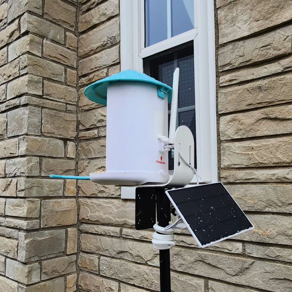 Netvue Birdfy Feeder & Solar Panel outside of our window - back view. 