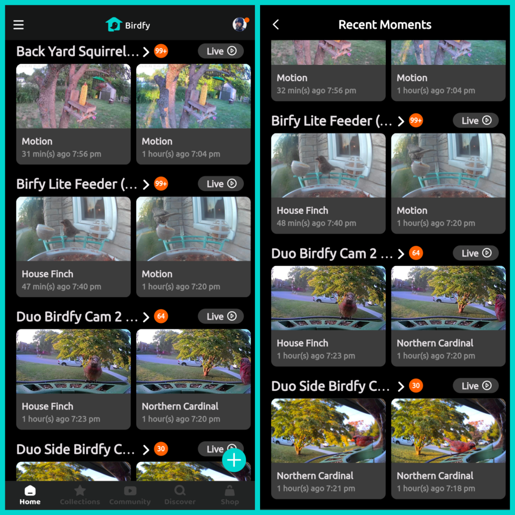 Screenshots of the Birdfy app.