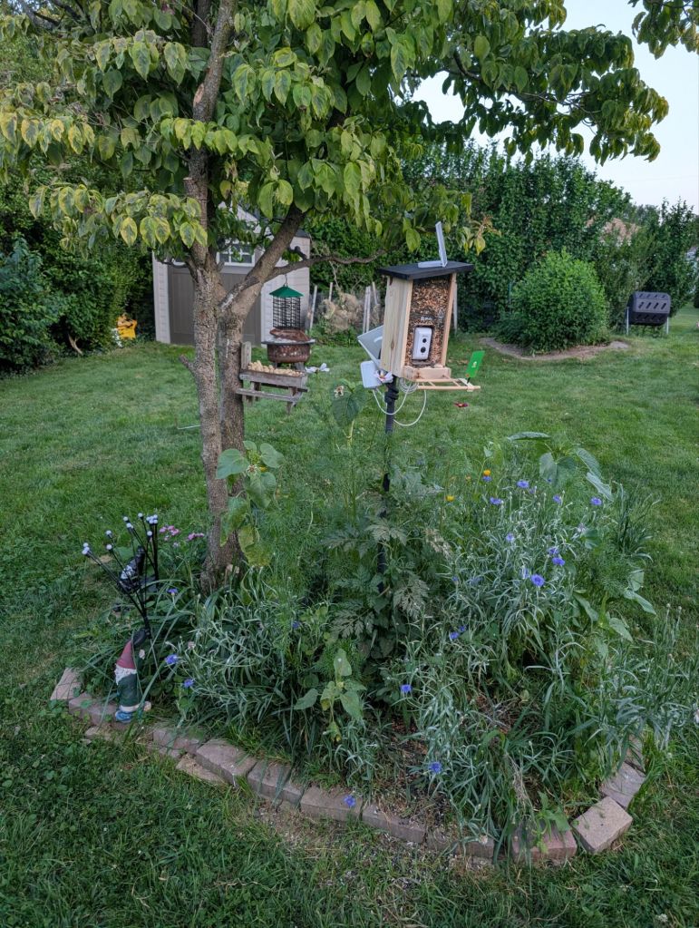 The Naughty Gnome Noshery