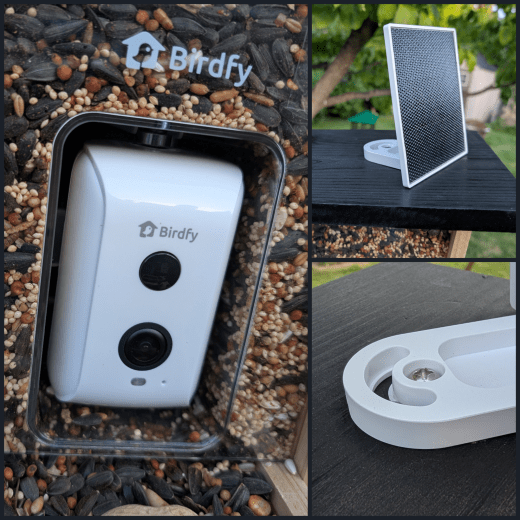 Birdfy Feeder Ebony Close-Ups